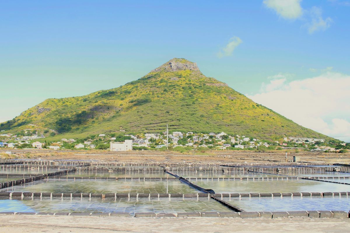les salines