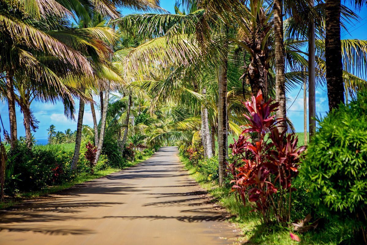 road